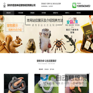爬宠_宠物网_宠物蛇_玉米蛇_宠物蛇专卖网_壹叁神话宠物